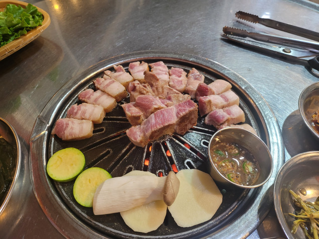 사용자 삽입 이미지