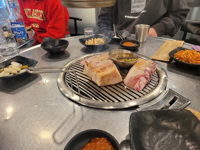 사용자 삽입 이미지
