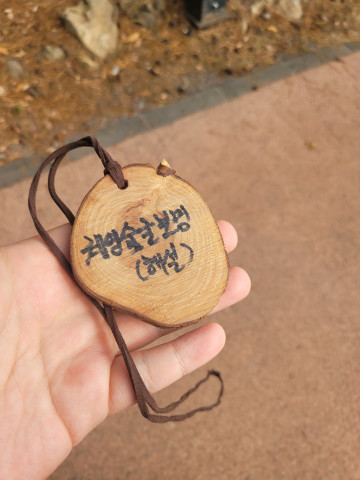 사용자 삽입 이미지